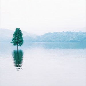 收聽羽腫的白露 (完整版)歌詞歌曲