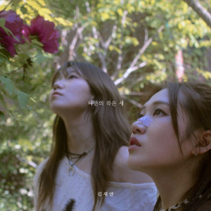 Album 나만의 작은 새 (My Little Bird) from Se2