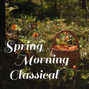 Various Artists的專輯Spring Morning Classical