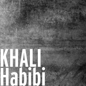 Listen to Habibi song with lyrics from KHALÍ