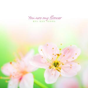 อัลบัม You are my flower ศิลปิน Ryu Hanyeong