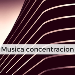 Música Concentración