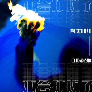Album 不会打扰了(DJ光波版) from 含大仙儿