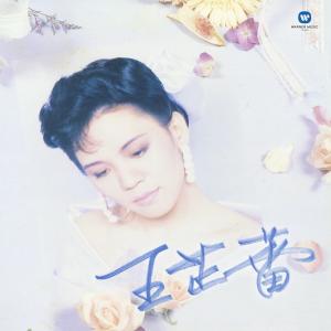 ดาวน์โหลดและฟังเพลง Cold Cold Wind พร้อมเนื้อเพลงจาก 王芷蕾