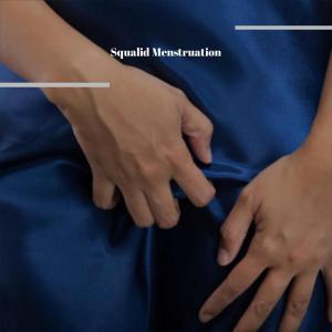Album Squalid Menstruation from Various