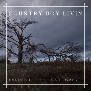收听Gabe Walsh的Country Boy Livin歌词歌曲
