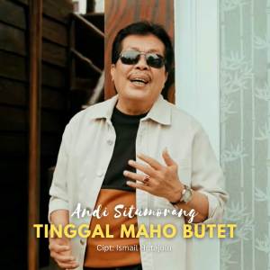 Listen to Tinggal Maho Butet song with lyrics from Andi Situmorang