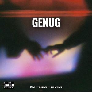 Anon的專輯GENUG (feat. LE VENT & ANON) [Explicit]