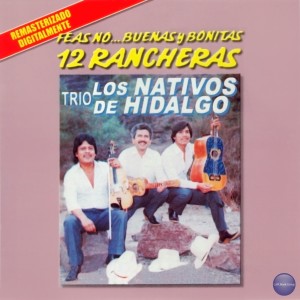 ดาวน์โหลดและฟังเพลง Quisiera Amarte Menos พร้อมเนื้อเพลงจาก Trio Los Nativos De Hidalgo