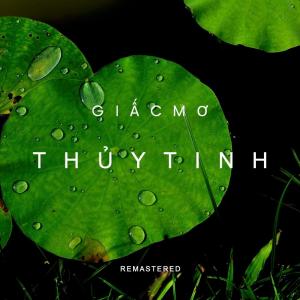 收聽Võ Thiện Thanh的Giấc Mơ Thủy Tinh歌詞歌曲