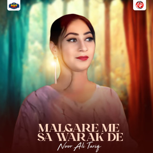 Listen to Malgare Me Sa Warak De song with lyrics from Noor Ali Tariq