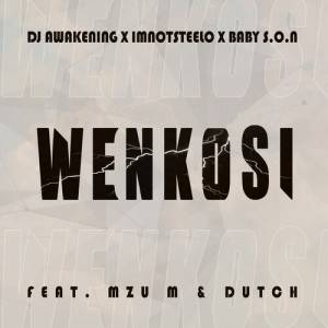 Album Wenkosi from Imnotsteelo