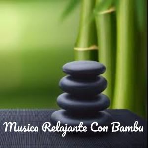 Listen to Solo Estrategias song with lyrics from Relajante
