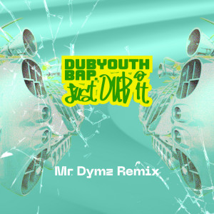 Listen to Just Dub It (Instrumental Version) song with lyrics from Dubyouth