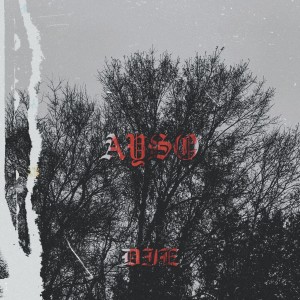 收聽SkateTrapayso的Die歌詞歌曲