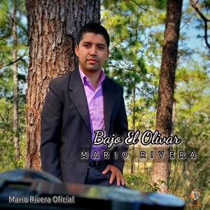 收聽Mario Rivera的Bajo El Olivar歌詞歌曲