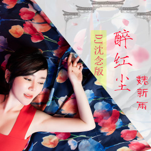 收聽魏新雨的醉紅塵 (DJ沈念版)歌詞歌曲