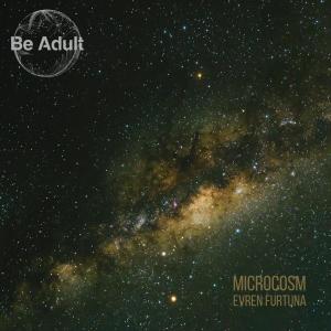 Evren Furtuna的专辑Microcosm