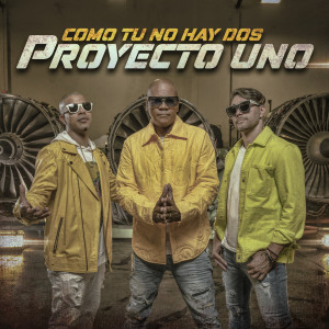 ดาวน์โหลดและฟังเพลง Como Tu No Hay Dos พร้อมเนื้อเพลงจาก Proyecto Uno