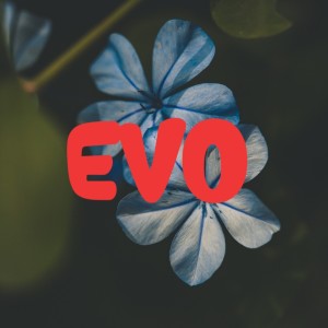 Kekasih Untuk Sahabatku dari EVO