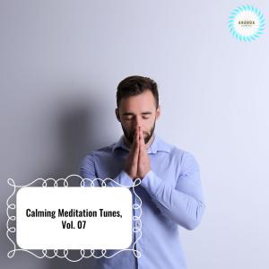 Dengarkan lagu Angelic Temple Mornings nyanyian Allison Druzik dengan lirik