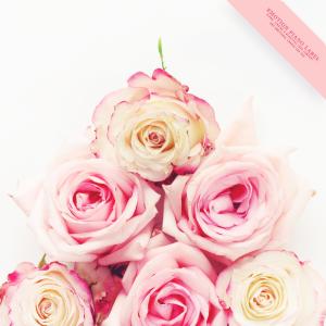 Dengarkan Hill of spring wind lagu dari Heavenly Garden dengan lirik
