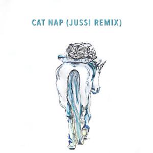 Listen to Cat Nap (Jussi Remix) song with lyrics from Napmosphere