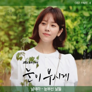 Album The Light in Your Eyes, Pt. 4 (Original Television Soundtrack) from 남새라