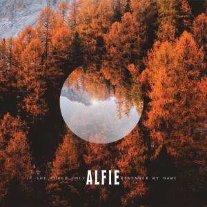 ALFIE的專輯If She Could Only Remember My Name (Explicit)