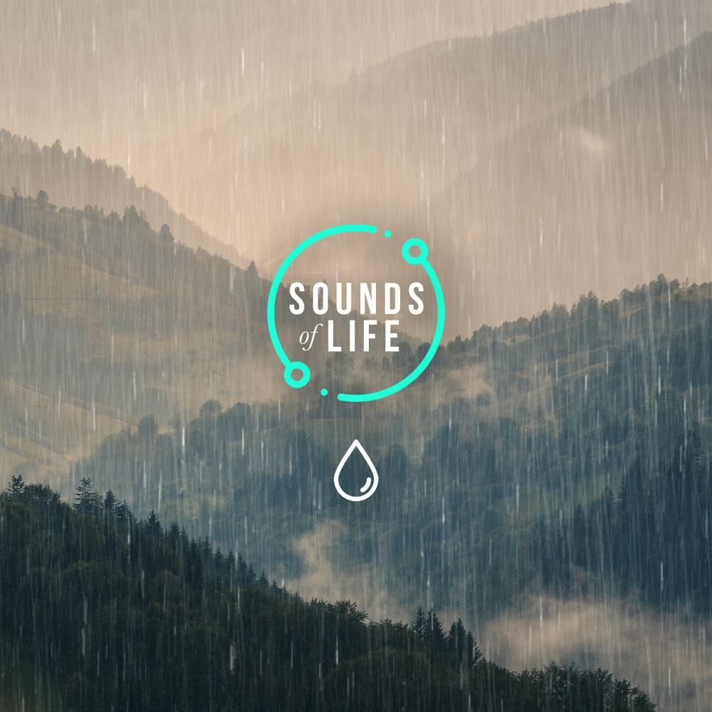 Rain – Heavy Deluge, Pt. 7