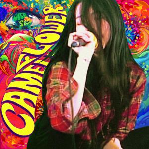 Dengarkan Camellia Flower (Inst.) lagu dari 015B dengan lirik