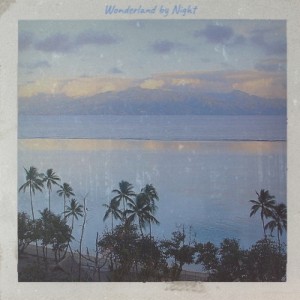 Album Wonderland by Night (Explicit) from Various