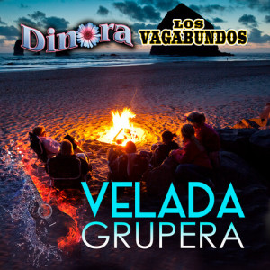 Listen to Una vez en La Vida (Grupero) song with lyrics from Los Vagabundos