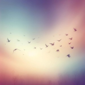 Album Flakes (White Noise) from Dozy Sounds