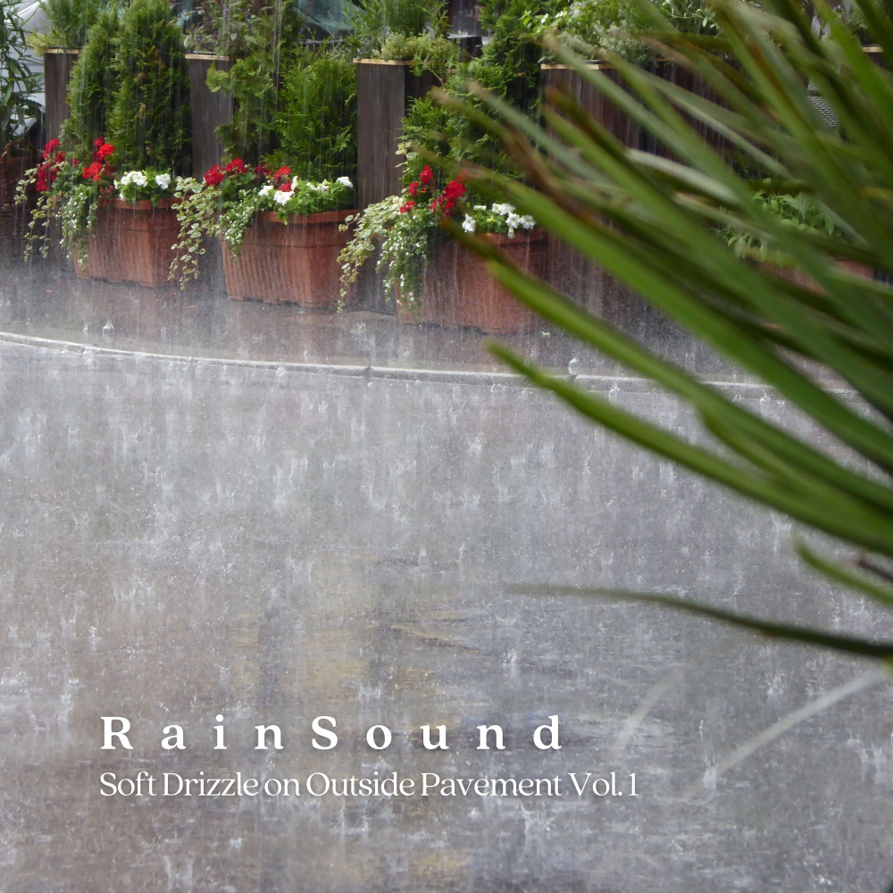 Rain Sound Best Sleep Music