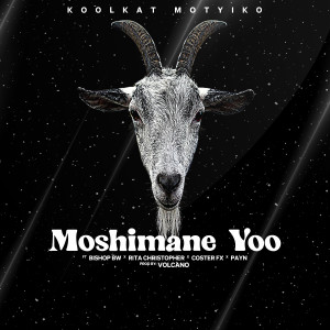 Listen to Moshimane Yoo song with lyrics from Koolkat Motyiko