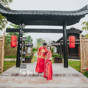 Triệu Minh Đạt的專輯Lời Tỏ Tình Từ Trái Tim Anh
