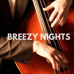 收聽Harlem Jazz Guitar Quartet的Breezy Nights歌詞歌曲