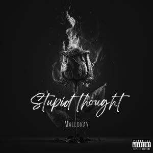 收聽Mallokay的Stupid Thought (Explicit)歌詞歌曲