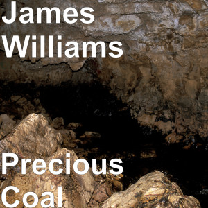 Listen to Precious Coal song with lyrics from Mark David