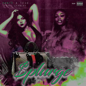 Listen to $Plurge (Explicit) song with lyrics from Vante