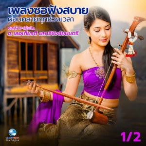 Album เพลงซอฟังสบาย ผ่อนคลายทุกช่วงเวลา ,Vol 1 (Hi-Res Audio) from เลอเกียรติ มหาวินิจฉัยมนตรี
