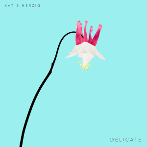 Katie Herzig的專輯Delicate