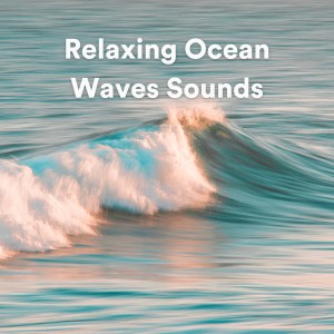 Album Relaxing Ocean Waves Sounds from 