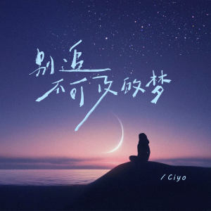 Listen to 别追不可及的梦 (伴奏) song with lyrics from Ciyo