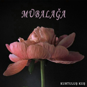 Listen to Vur Patlasın song with lyrics from Kurtuluş Kuş