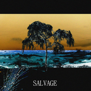 อัลบัม SALVAGE ศิลปิน Badavice