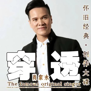Listen to 穿透 (现场DJ版) song with lyrics from 肖家永