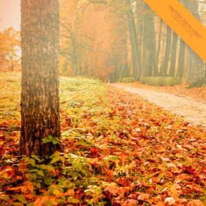 Album Sweet New Age Piano For Cloudy Autumn from 