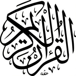 القران الكريم - جزء 8